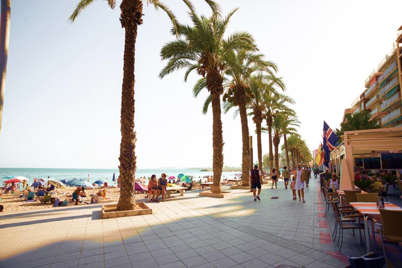 Holiday Studio Jardin Playa Torrevieja Kültér fotó